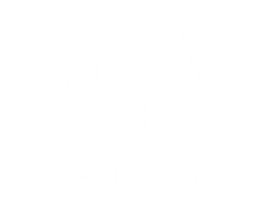 logotipo de la silla bali