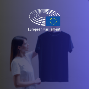 Passaporto del prodotto digitale visivo blu