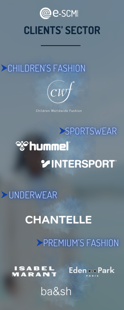 e-scm experience and expertise