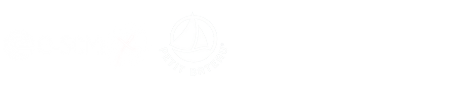 etude de cas e-scm x petit bateau