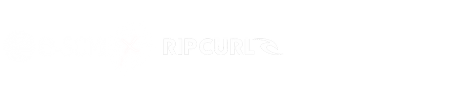 etude de cas e-scm x rip curl