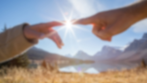 proteggere e centralizzare i dati della catena di fornitura