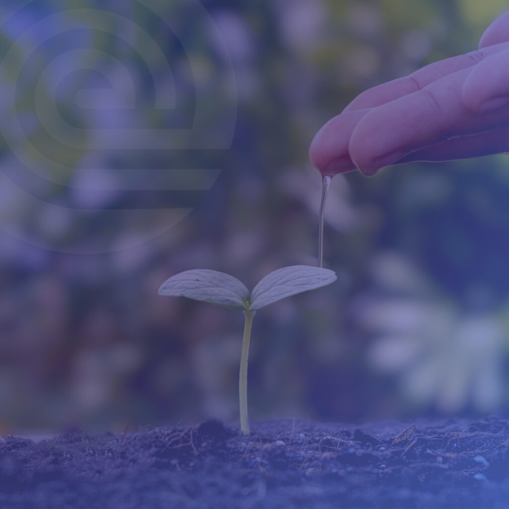 Ilustración, sostenibilidad, artículo, abastecimiento responsable